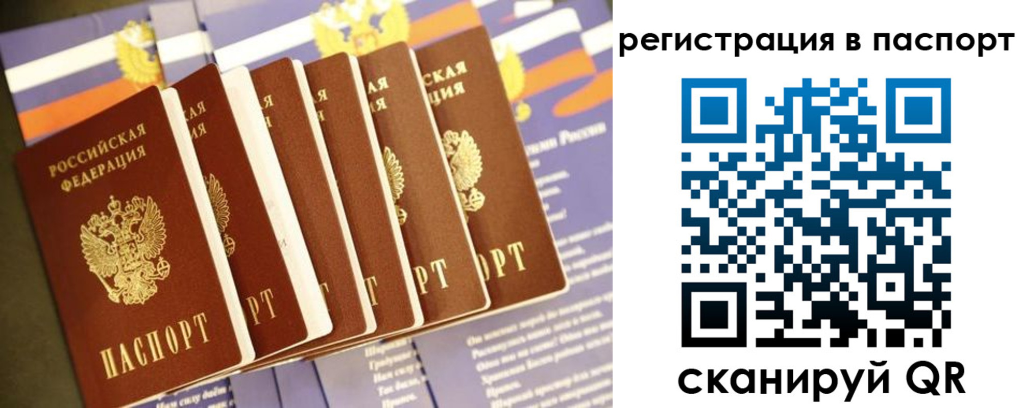 прописка регистрация в Железногорске