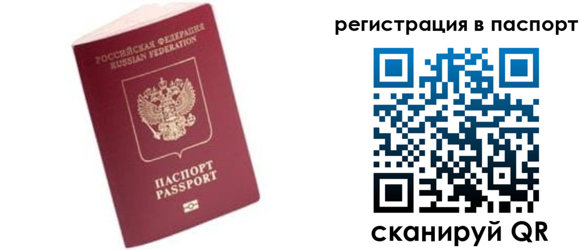 прописка иностранных граждан в Железногорске