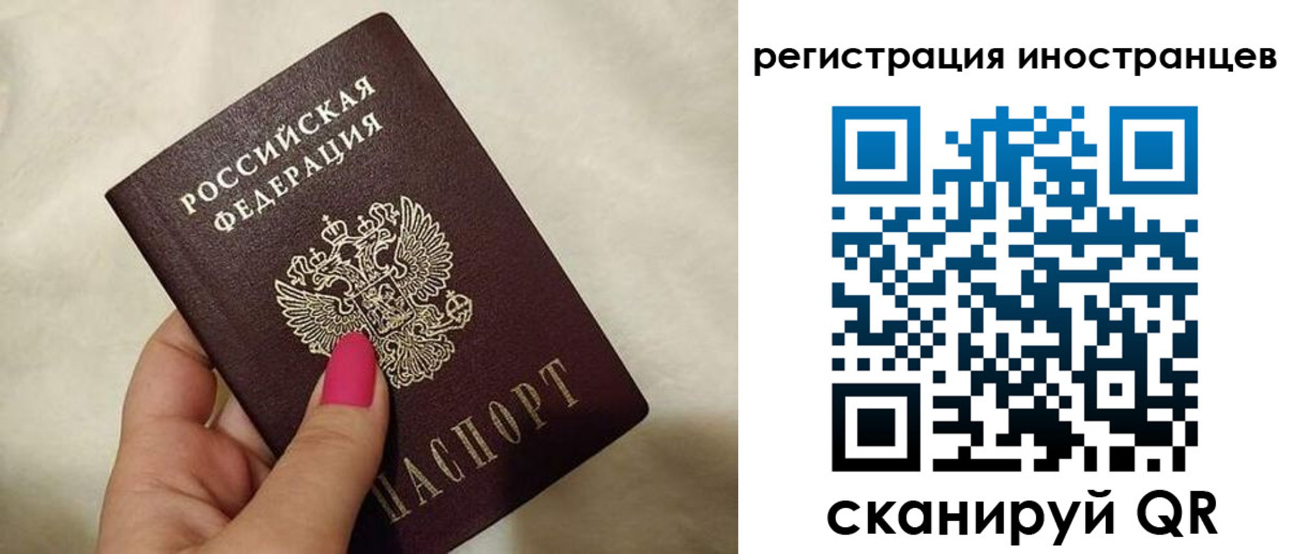 временная регистрация купить в Железногорске