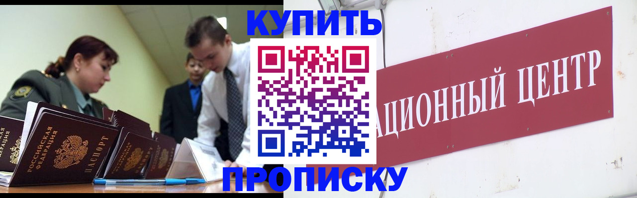 прописка поиск в Железногорске